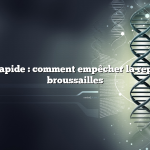 Réponse rapide : comment empêcher la repousse des broussailles